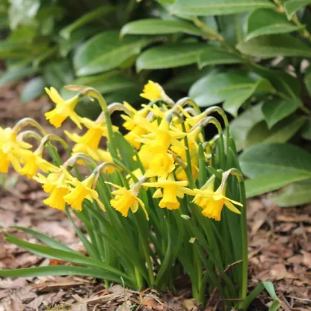 Jordi Holiday home *